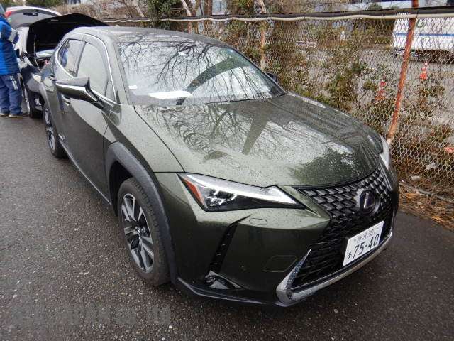 Buy Japanese Lexus UX 250 H At STC Japan