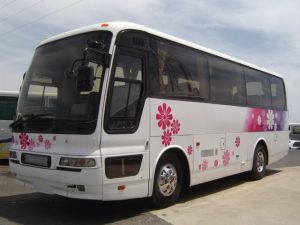 Misubishi Fuso 1993