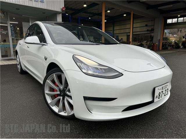 Tesla Model 3 2019 0cc Image